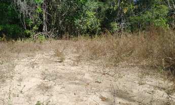 Imagem 7: Chacara em Jaraguá 130km de Goiana 105km d Anápolis na beira do rio chacaras d 20.000