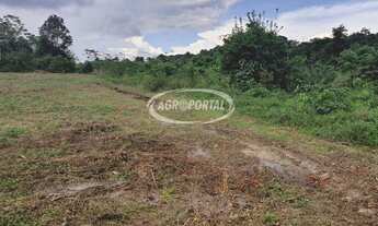 Imagem 3: Fazenda no Pará - Igarapé-Açu - 425 ha (88 alq