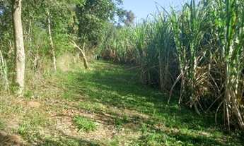 Imagem 4: Fazenda/Sítio/Chácara para venda tem 20000 metros quadrados em Lomba Grande - Novo Hamburg