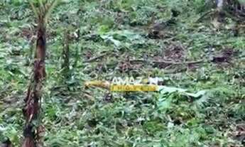 Imagem 3: Terreno à venda, 1500 m² por R$ 150.000,00 - Ubatumirim - Ubatuba/SP