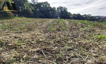 Imagem 6: Terreno para Venda em Pinhalzinho, zona rural