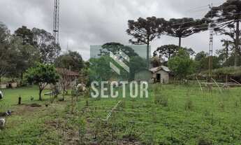 Imagem 6: Fazenda / Sítio / Chácara em Rio de Una - São José dos Pinhais