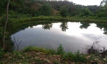 Imagem: Chácara de 5 Alqueires em Varjão