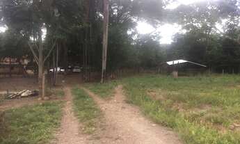 Imagem 6: Chácara em Avelinópolis