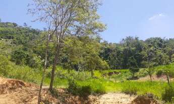 Imagem 4: Chácara com Cachoeira para venda , possui 1800 metros quadrados em Santa Izabel do Rio P