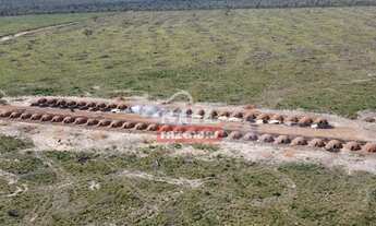 Imagem 3: Fazenda no Sul do Maranhão para Soja. (2.965 Há