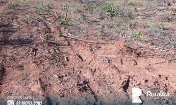 Imagem 5: Oportunidade de fazenda com dupla aptidão em Almas - TO