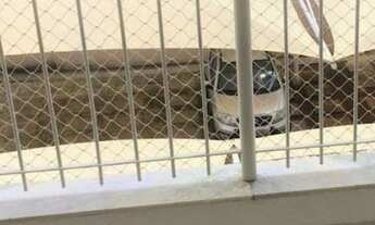 Imagem 4: Apartamento à venda, 3 quartos, 1 suíte, 1 vaga, Esplanada - Belo Horizonte/MG