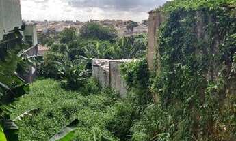 Imagem 2: Terreno à venda, 256 m² por R$ 800.000,00 - Chácara Inglesa - São Paulo/SP