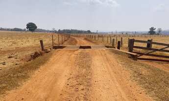 Imagem 2: 21 alqueire para lavoura em Trindade-Go