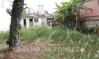 Imagem 5: São Paulo - Casa Padrão - Campo Belo