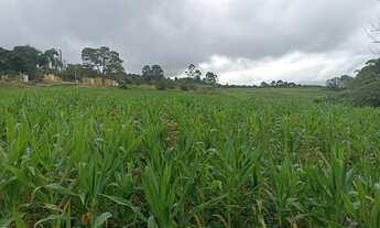 Imagem 2: Lote/Terreno para venda com 500 metros quadrados em Verava - Ibiúna - SP
