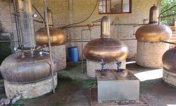 Imagem 3: Fazenda em mococa 100 alqueires 12.000.000.00 ( don