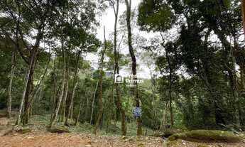 Imagem 4: Terreno à venda 427 m² - Cônego - Nova Friburgo/RJ
