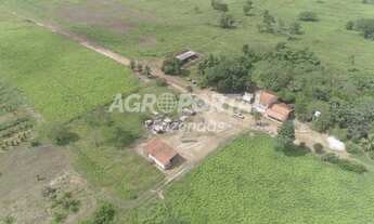 Imagem 2: Fazenda no Pará - Aurora do Pará - PA