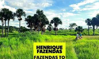 Imagem 4: Fazenda de cultura oportunidade região Paraíso Tocantins ....