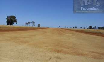 Imagem 14: ML FAZENDAS - FAZ 151 Fazenda em Cassilândia / MS 6.692,43 Hect