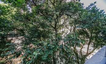 Imagem 5: Apartamento para Aluguel - Ingá, 2 Quartos, 125 m2