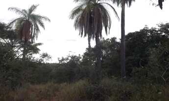 Imagem 3: Oportunidade terreno de 14 hectares,Jaboticatubas (Temos varias opções)