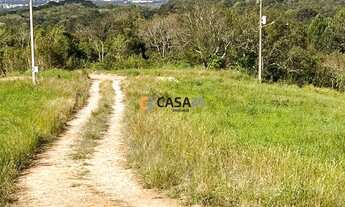 Imagem: CAMPO LARGO - Terreno Padrão - VILA DAVID