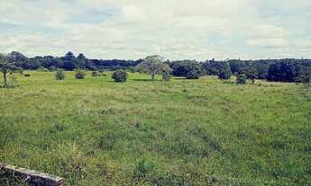 Imagem 7: Vendo Terreno Na Pindoretama Com 20 Hectares E Açude Dentro Vem Terreno Muito Bom. : Mate