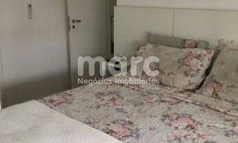 Imagem 3: SAO PAULO - Apartamento Padrão - VILA FIRMIANO PINTO