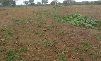 Imagem 2: . Uma fazenda 110 alqueires 50 Km da capital