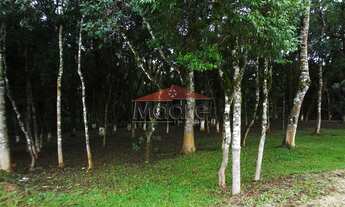 Imagem 5: Casa de condomínio para venda tem 90 metros quadrados com 3 quartos