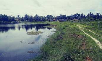 Imagem 6: Vendo Terreno Na Pindoretama Com 20 Hectares E Açude Dentro Vem Terreno Muito Bom. : Mate