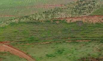 Imagem 2: Fazenda/Sítio/Chácara 22 ALQUEIRES FERVEDOURO MG