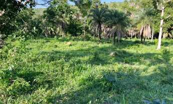 Imagem: Ótimo Sítio entre Palmas-TO e Paraíso-TO