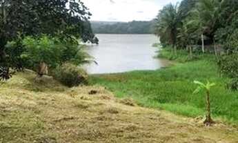 Imagem 2: Fazenda/Sítio/Chácara para venda com 360 metros quadrados com 3 quartos