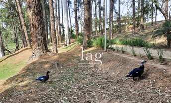 Imagem 4: Terreno à venda, 1233 m² por R$ 1.020.000,00 - Condomínio Residencial Saint Patrick - Sor