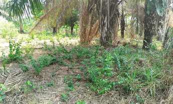 Imagem 2: Terreno medindo 10x34, localizado 5 km após o chalé bar