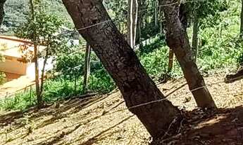 Imagem 4: Terreno Braunes Terreno / lote com venda por R$280.000