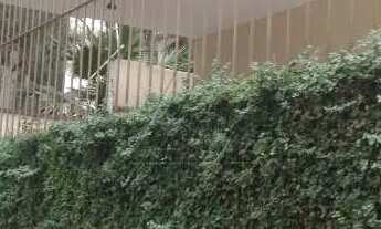 Imagem 3: Sobrado com 3 dorms, Vila Progredior, São Paulo - R$ 1.3 mi, Cod: 2375