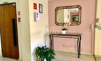 Imagem 2: São Paulo - Apartamento Padrão - Vila Gumercindo