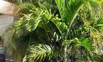 Imagem 3: Casa para Venda em Parnamirim, NOVA PARNAMIRIM, 3 dormitórios, 1 suíte, 2 banheiros, 3 vag