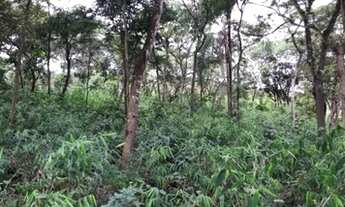 Imagem 3: Terreno em Melo Franco - Brumadinho