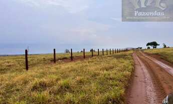 Imagem 6: ML FAZENDAS - FAZ 151 Fazenda em Cassilândia / MS 6.692,43 Hect