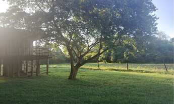 Imagem 6: Sítio à beira do rio com pier e deck