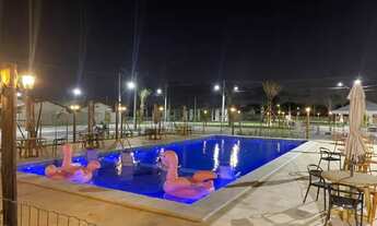 Imagem 6: Dracenas com entrada parcelada em 100 vezes no boleto