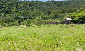 Imagem 3: Terreno no Interior de São Paulo - SP