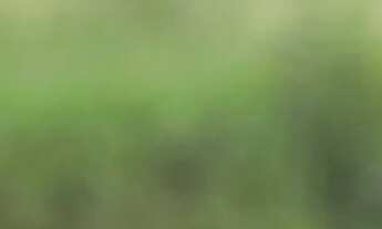 Imagem 4: Terreno em ótima localização