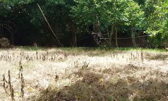 Imagem: Vendo um terreno em rolante RS