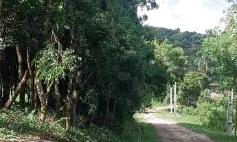 Imagem 6: Area 46 mil metros Terreno Industrial Campina Gde do Sul 1km da BR116 PermutaxPraia