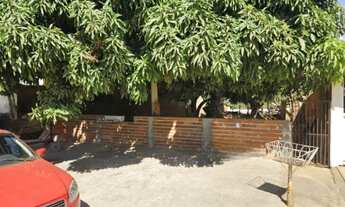 Imagem: Lote - Rua das Camélias - Jardim Botânico