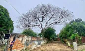 Imagem 4: Terreno proximo BR / Estadio do Aimore - São Leopoldo