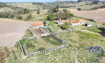 Imagem 8: Sítio/Fazenda à Venda, 48,25 alqueires por R$ 4.500.000 Cód. ch2558