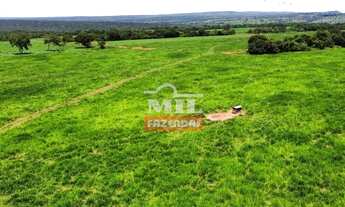 Imagem 7: Fazenda 255 Alqueires (1.234 Hectares) Aragarças - GO